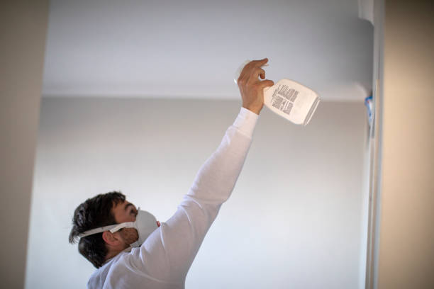 Best Fast Mold Removal  in San Jacinto, CA
