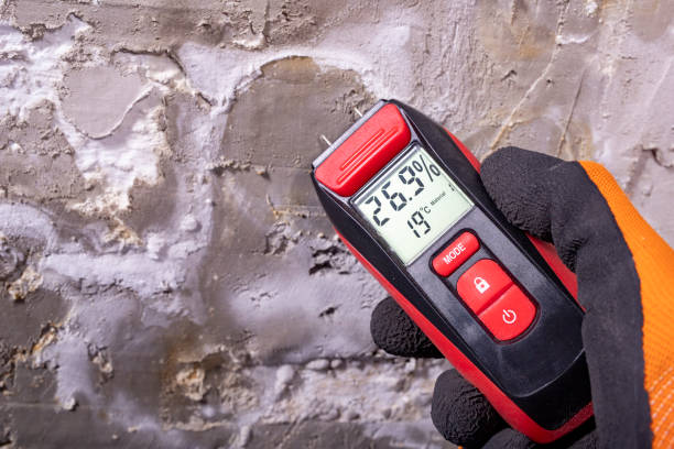 Home Mold Removal in San Jacinto, CA