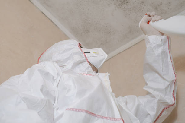 Best Mold Testing  in San Jacinto, CA