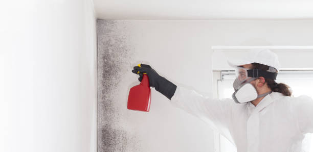 Best Crawl Space Mold Removal  in San Jacinto, CA